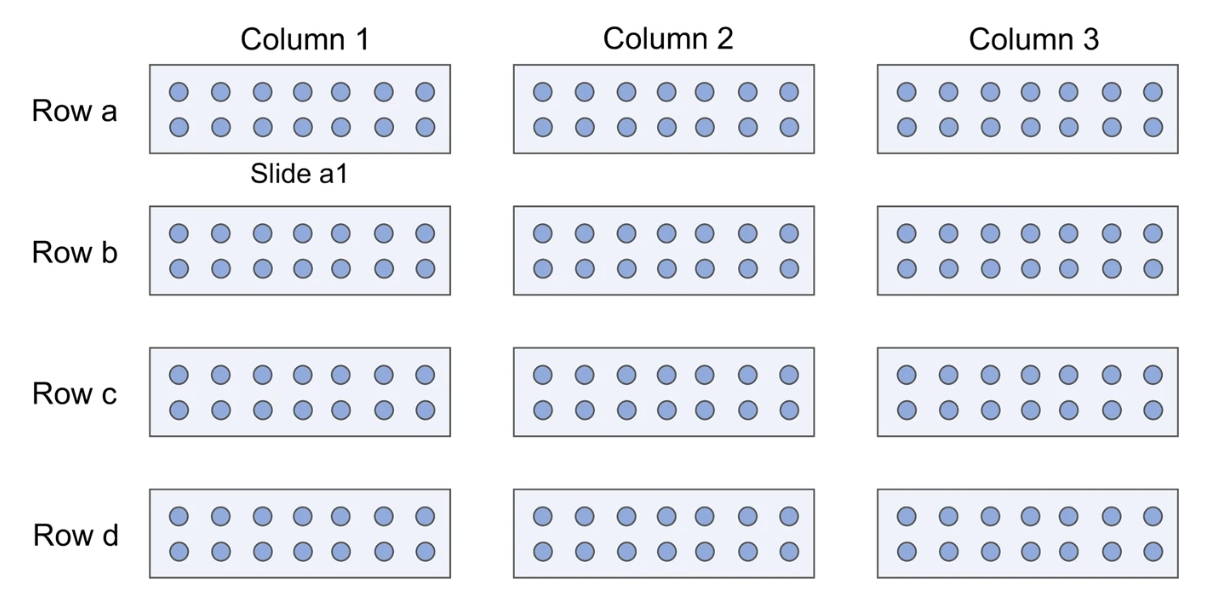 Graphical representation of one chamber-run design.