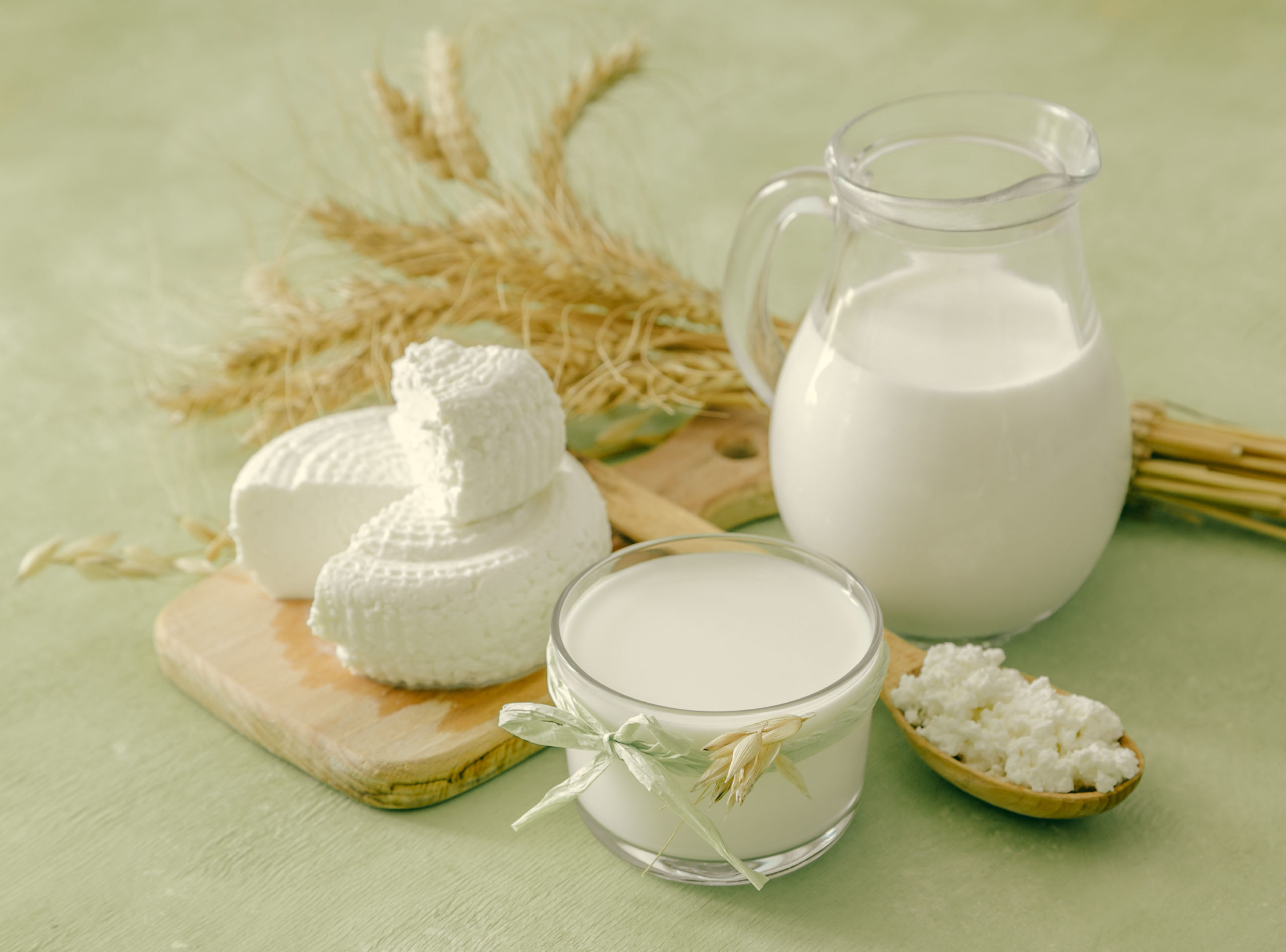 Wheat and Dairy Allergy 1