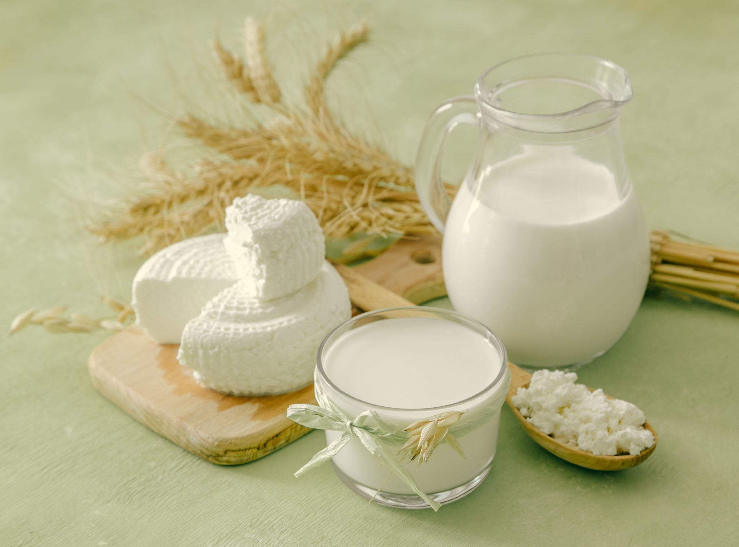 A jug of milk and cheese for this article on homeopathy for dairy allergies