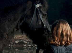 How Homeopathy Helped Jazz the Mare