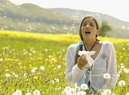 Hay Fever and Homeopathy 1