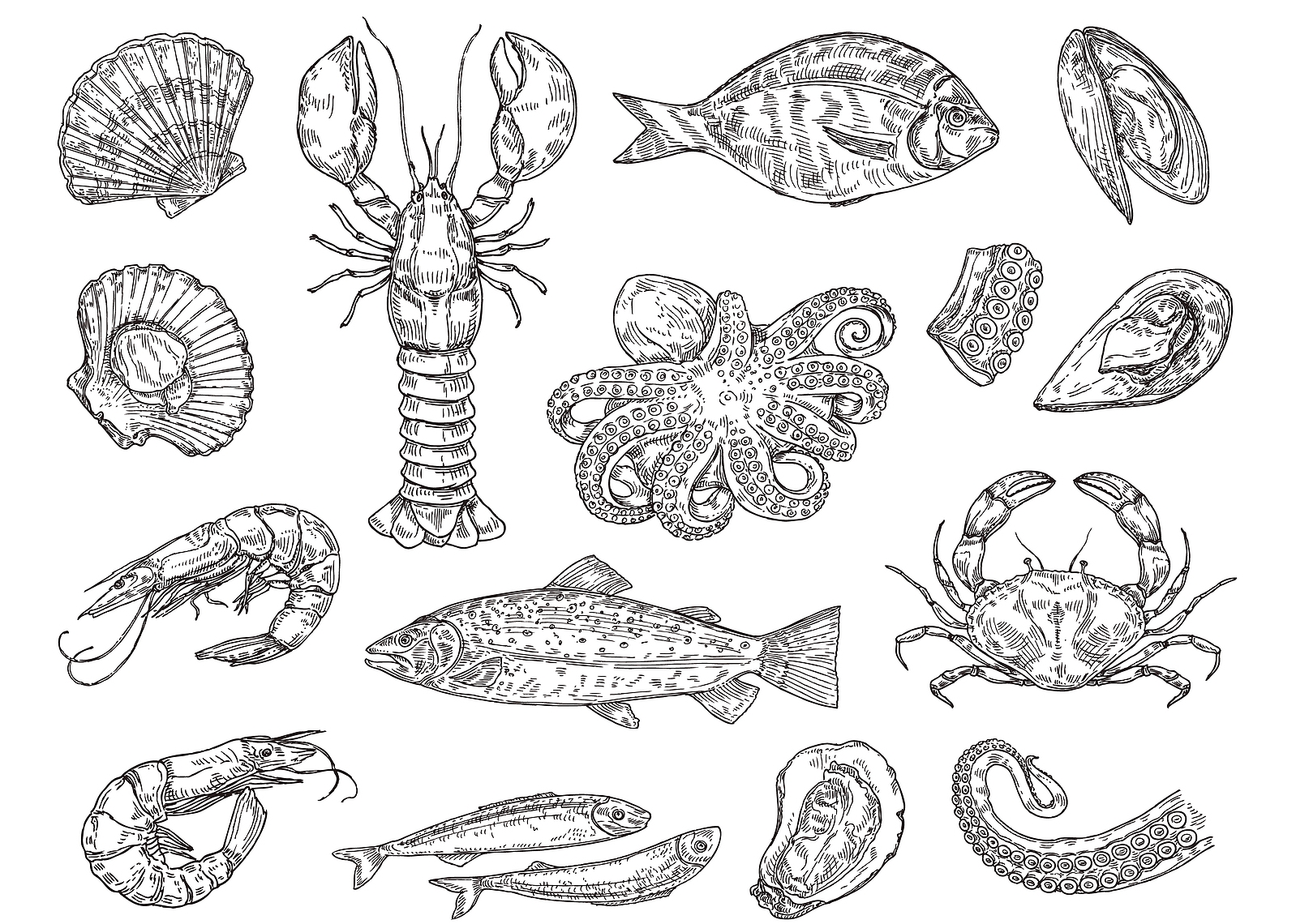 Marine life including fish, shrimp, oysters, and mussels are being used in homeopathic research